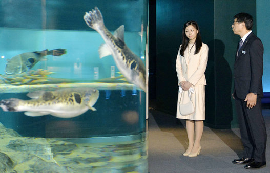 佳子さま　山口県下関市　初の単独地方公務　かわいい　話題　水族館　海響館　フグ